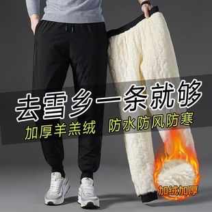 加绒加厚防风防水滑雪防寒外穿休闲棉裤 男士 羊羔绒长裤 啄木鸟冬季