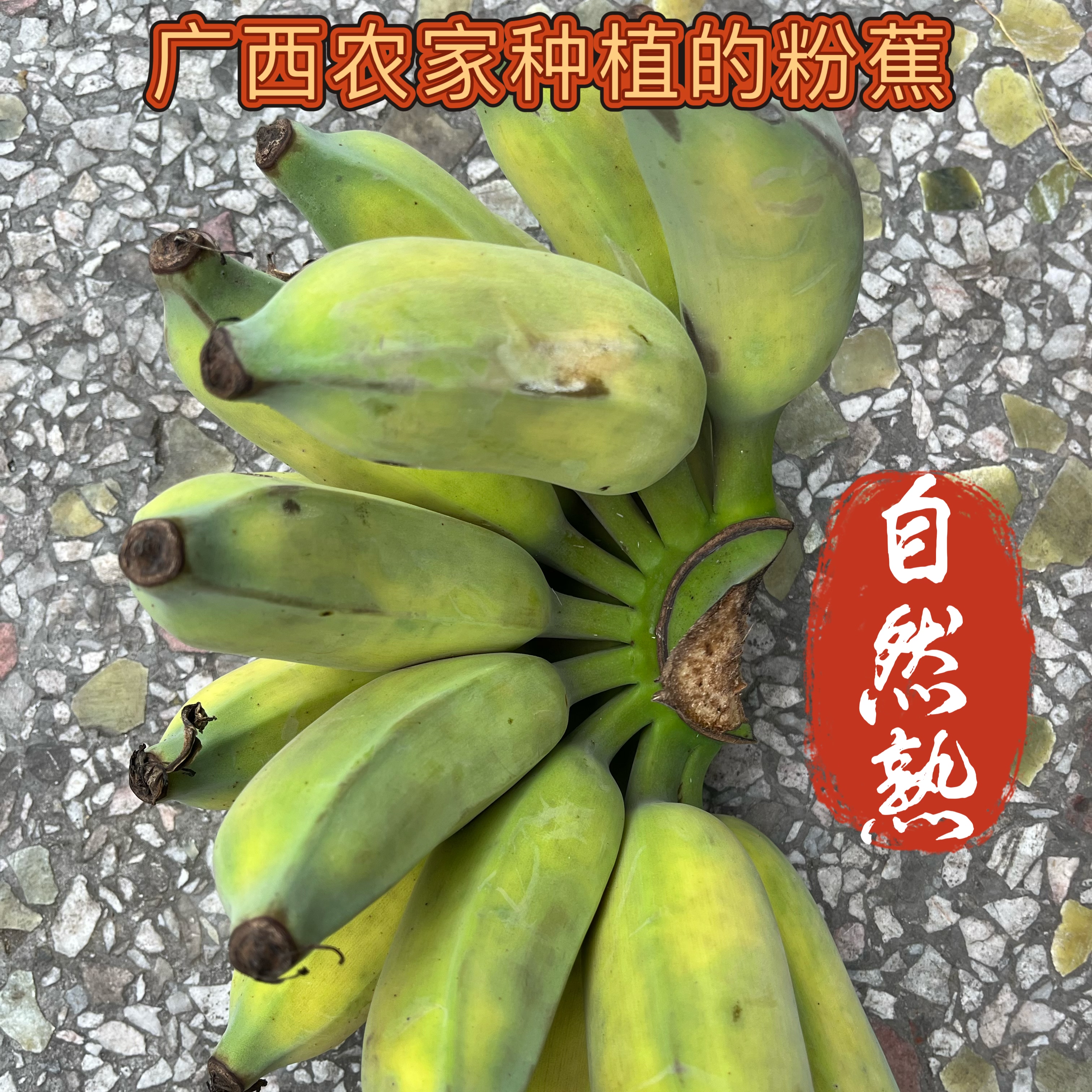 广西农家自种皮薄肉厚软糯香甜小香蕉