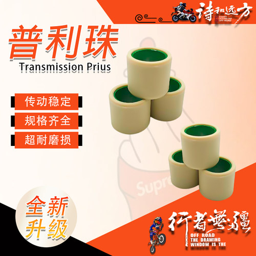 三阳巡弋XS300T九妹普利珠