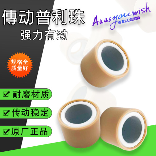 龙嘉XDV250sivmax300普利珠改装