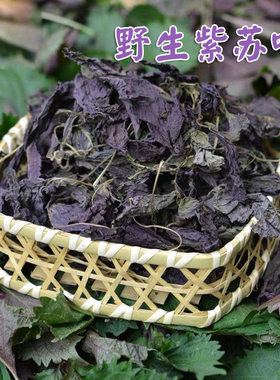 江西婺源新货食用紫苏叶干紫苏调料紫苏干香辛料去腥烧鱼虾蟹香料