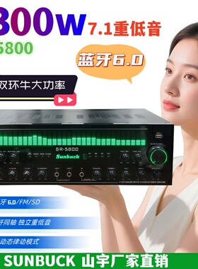 山宇SR5800大功率7.1声道功放机蓝牙专业KTV舞台家用音响放大器