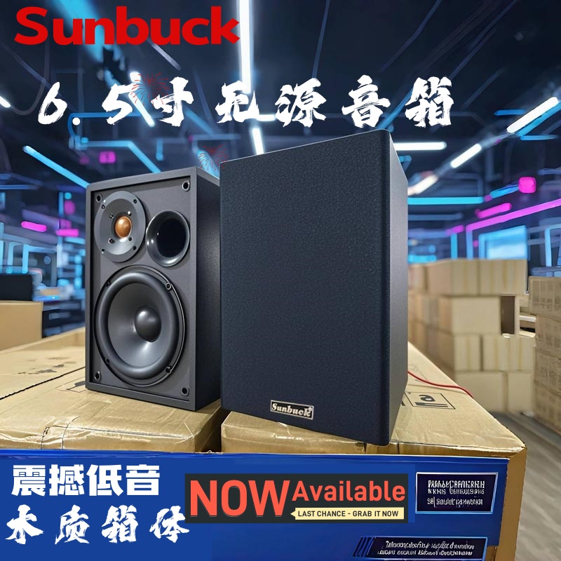 6.5寸无源音箱4寸木质体