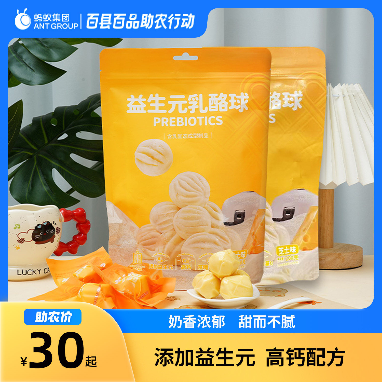 白音杭盖益生元乳酪球内蒙古奶酪球内蒙特色奶酪休闲奶味小吃