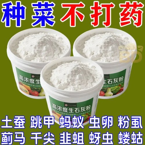 种菜专用高纯度石灰粉消石灰杀菌消毒剂改善水质改良土壤驱虫防虫