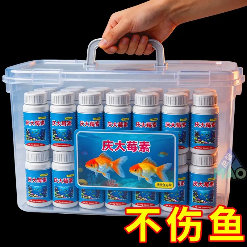 庆大霉素鱼病专用药烂身烂尾白点白毛掉磷蒙眼杀菌消炎康复消毒片
