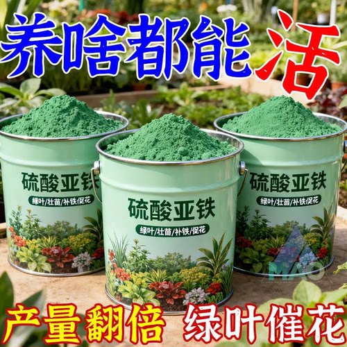 硫酸亚铁正牌正品酸性土壤通用型养花防黄叶植物果树铁树叶面肥
