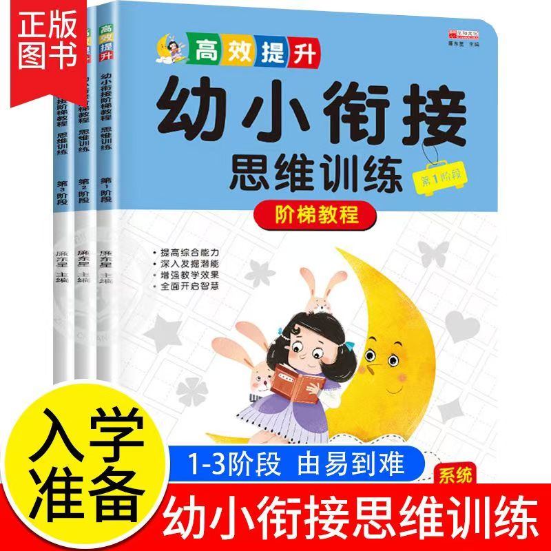 全套3册 幼小衔接数学思维训练阶梯教程幼儿早教书籍幼儿园大班学前6岁儿童启蒙逻辑思维益智练习册练习题学前班教材一日一练学习