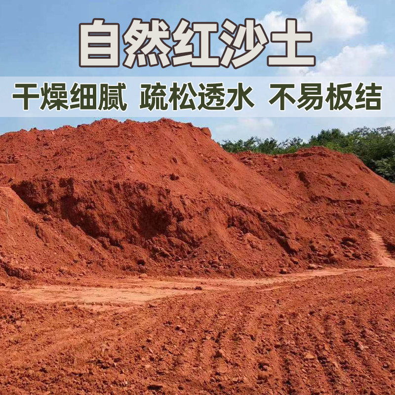 纯天然乌龟冬眠红沙土无菌