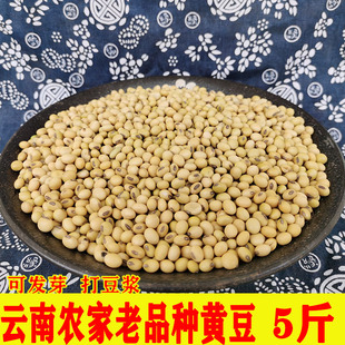 新豆云南农家自种黄豆老品种黄豆大豆生豆芽打豆浆5斤豆浆豆杂粮