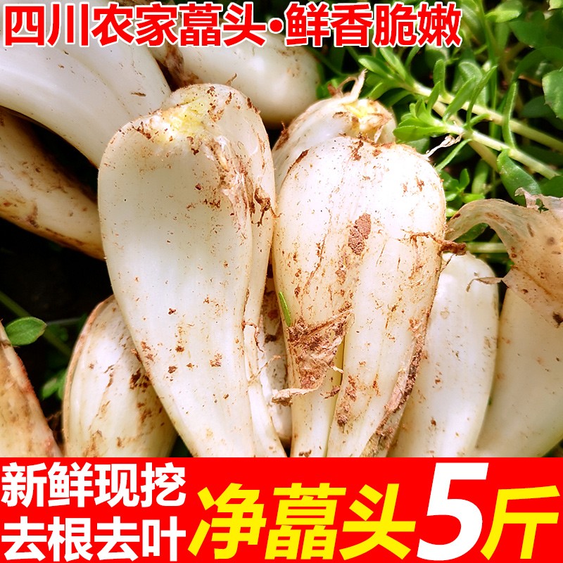 农家自种藠头茭白蒜头葱头小蒜头去叶荞头新鲜现摘现发特产蔬菜 水产肉类/新鲜蔬果/熟食 其它 原图主图