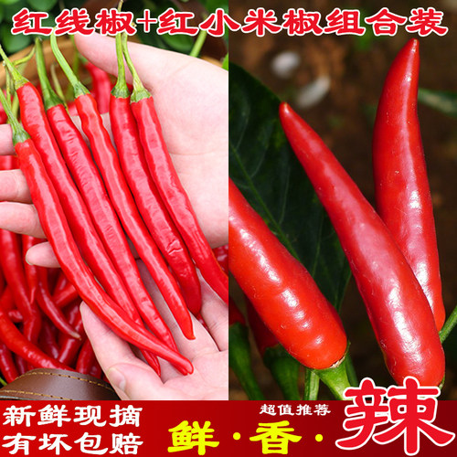 新鲜红线椒（二荆条）+红小米椒混合拼装组合装农家自种现摘现发