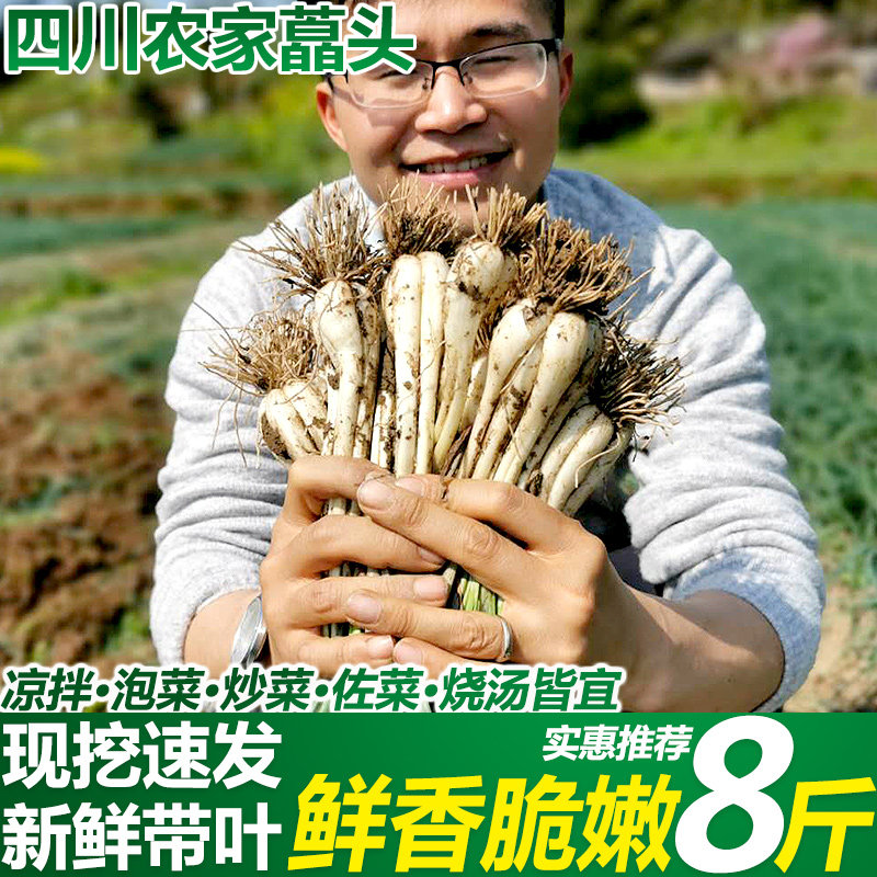 四川藠头荞头新鲜蔬菜农家自种小蒜带叶叫头泡菜蕌头,水产肉类/新鲜蔬果/熟食,其它,淘宝优惠券,粉丝福利购,淘宝优惠卷