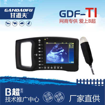 便携式超声波母猪