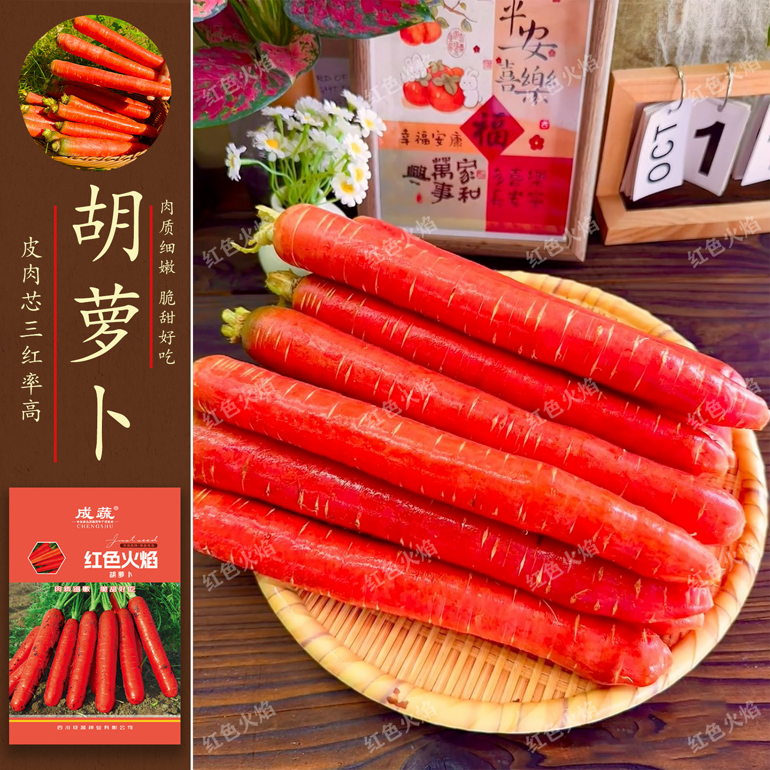 胡萝卜种子胡萝卜蔬菜种子