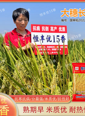 杂交水稻种子国审稻耐热抗病