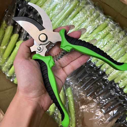 大号全钢强力花艺剪子