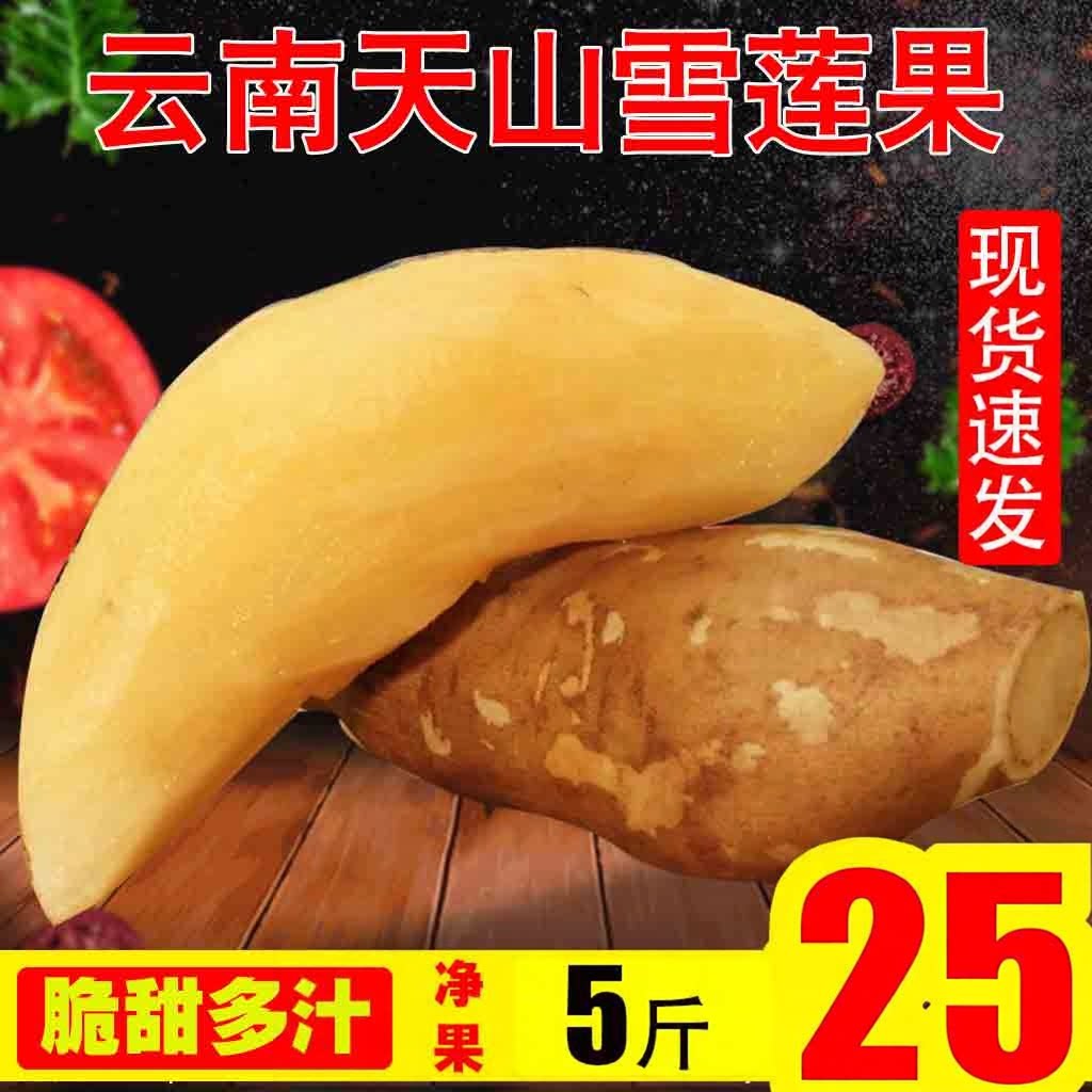 云南天山雪莲果新鲜5斤黄心特级现挖雪莲当季水果整箱现货包邮