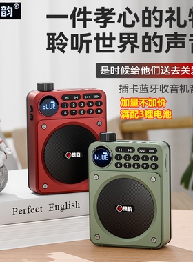 琅韵C65扩音器小蜜蜂无线蓝牙音响箱收音机大音量充电式插卡便携