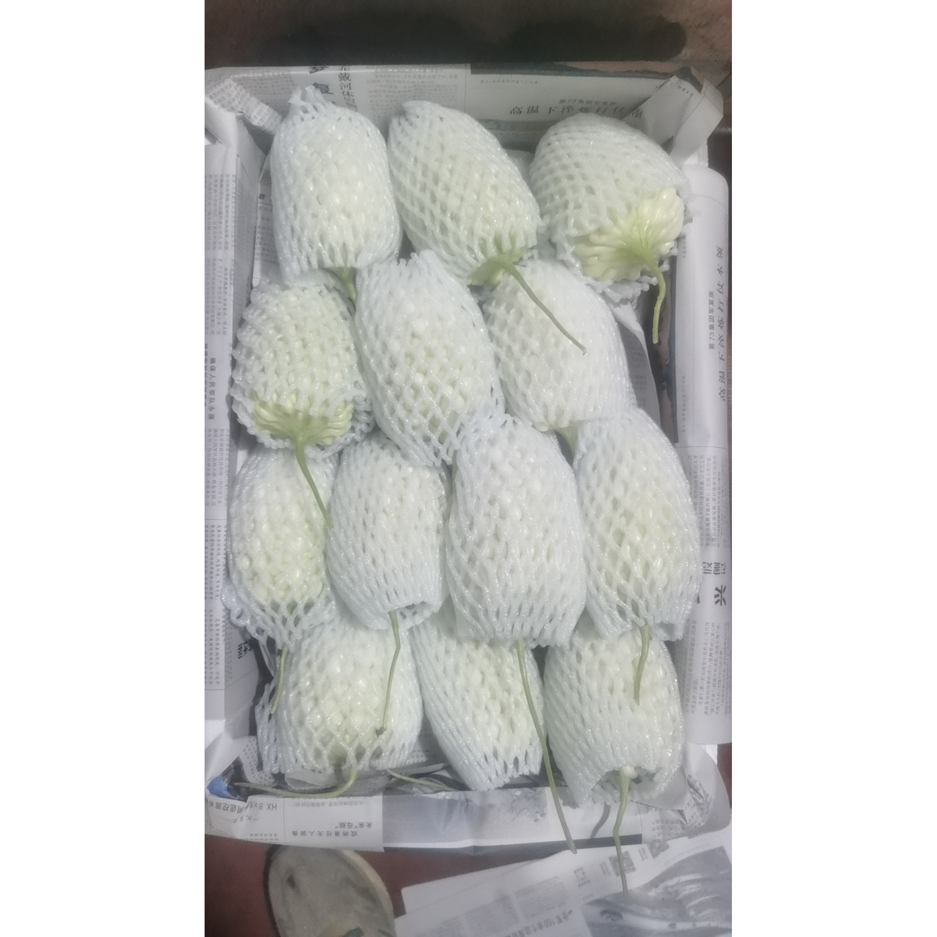 新鲜台湾苹果苦瓜白玉苦瓜水果苦其它