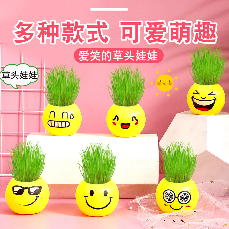 儿童小盆栽观察发芽生长幼儿园