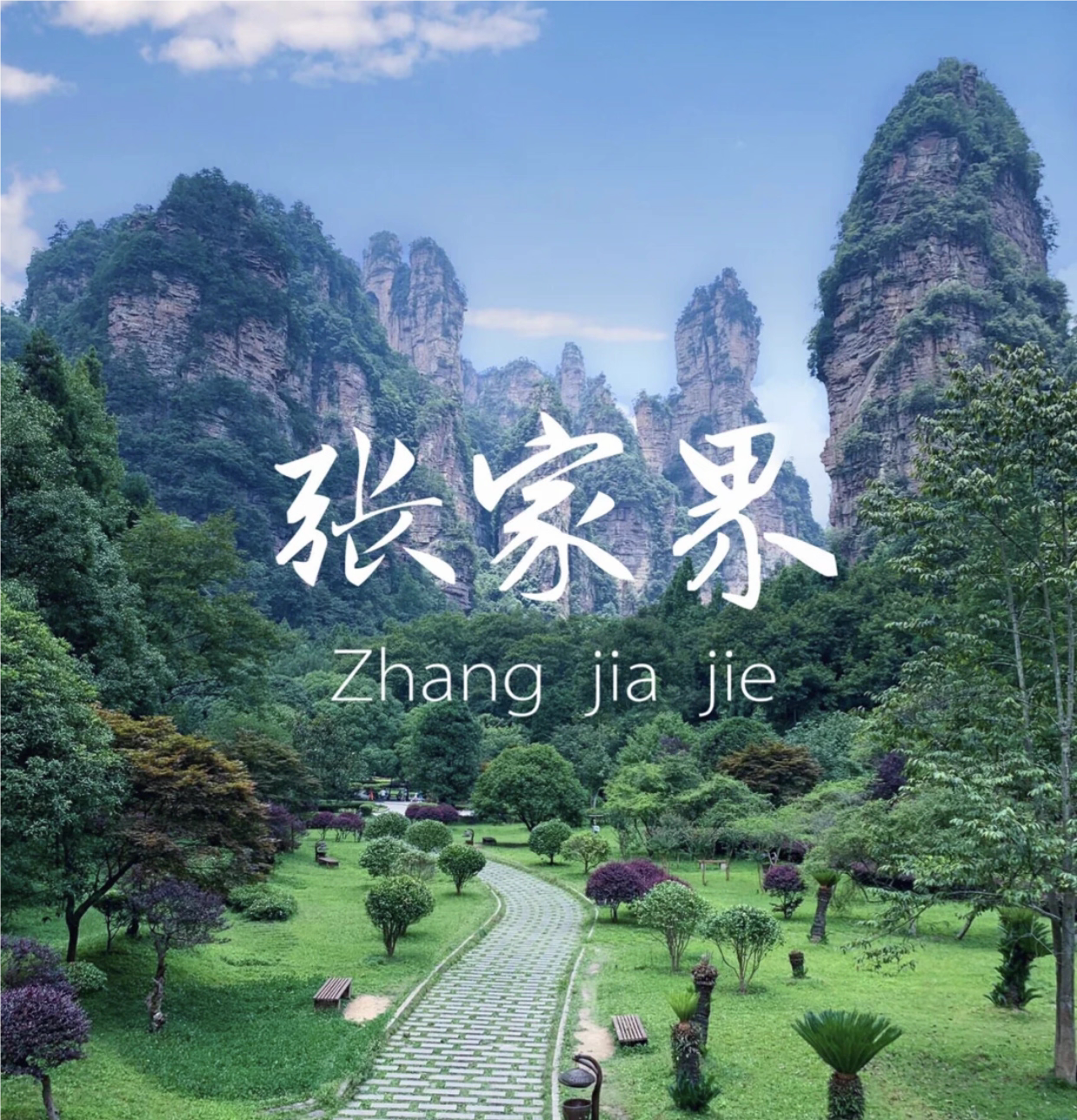 湖南张家界旅游攻略图2026年自助游自由行指南