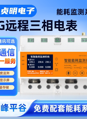 4G无线远程抄表三相四线智能电表5A互感器多功能交流峰谷深送系统
