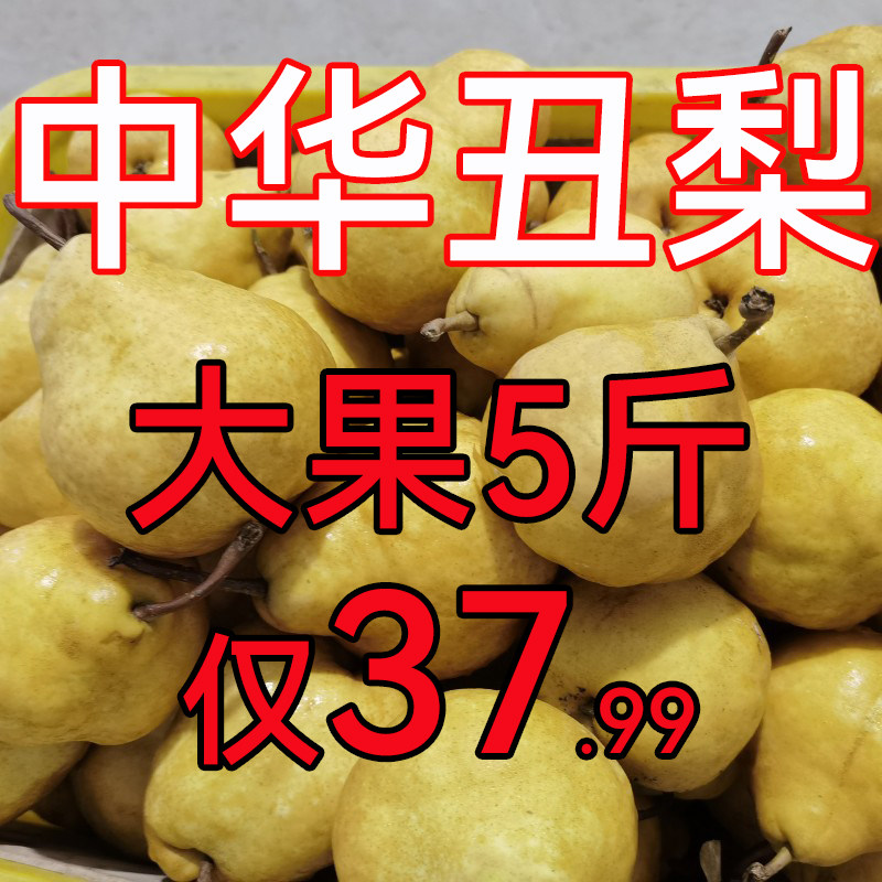 现摘中华山东烟台丑梨奇葩水果超大果昆嵛山软糯多汁5斤