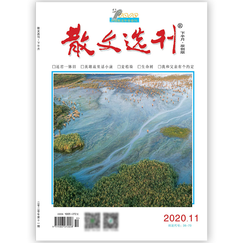 2025年正版出售散文选刊