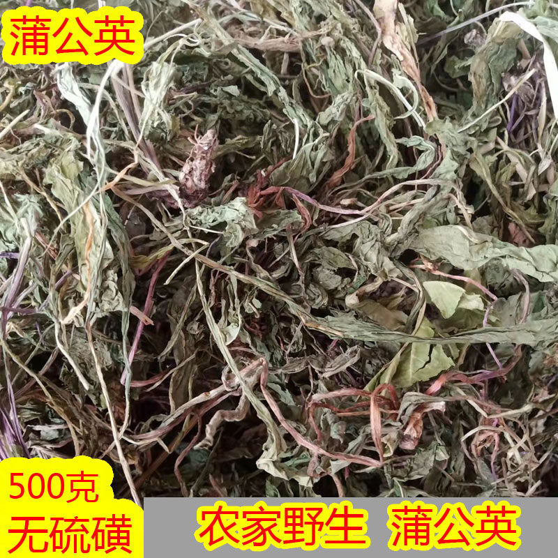 中药材全株蒲公英野生整根茶正品中草药材特级女性新鲜浦公英干货