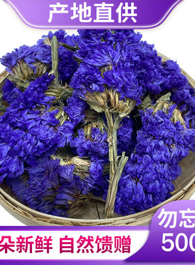 勿忘我干花500g正品天然紫色另售玫瑰花茉莉月季花菊花桂花