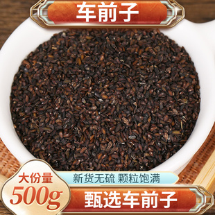 野生车前子中药材500g克 大别山车前草籽 车前籽 新货车前籽泡茶