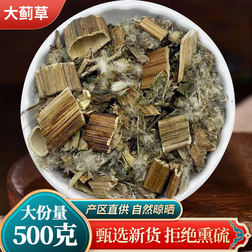 中药材野生大蓟马刺草人