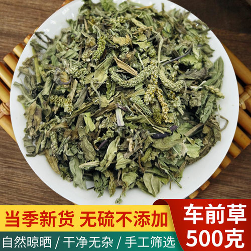 车前草中药材500g干货