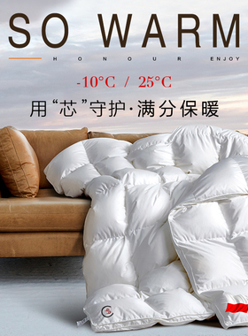 波兰进口羽绒被99%白鹅绒静音保暖高档全棉七星级酒店鹅绒被芯