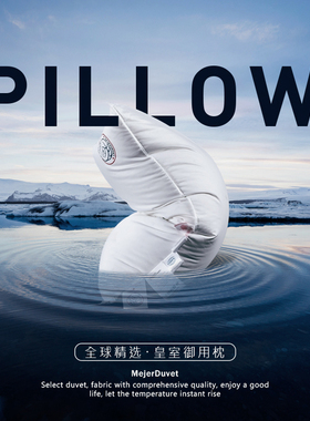 波兰进口99%白鹅绒枕芯皇室御用1000+高档五星级酒店羽绒枕头
