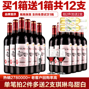 买一箱送一箱奥图纳城堡红酒赤霞珠干红葡萄酒整箱装正品共12支