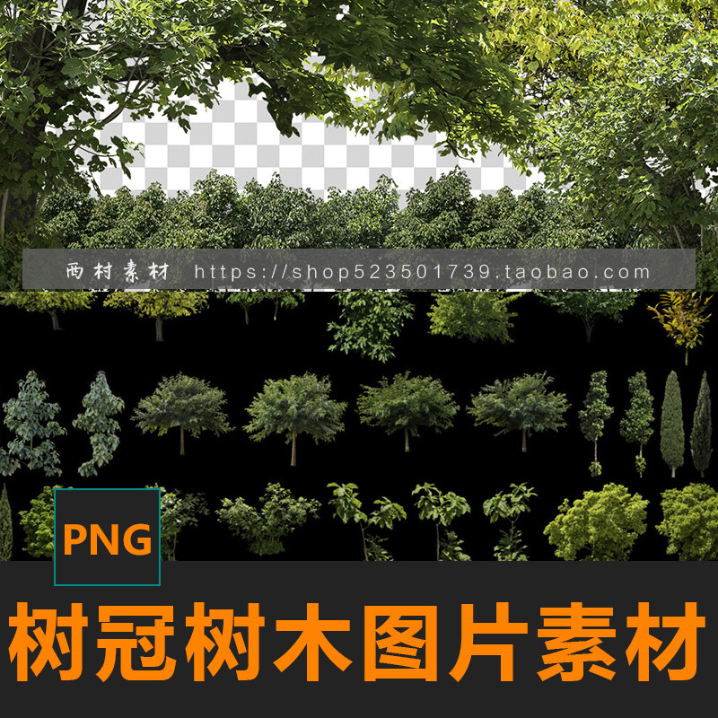 树冠树木林木png图片cg绘画参考ps场景合成素材matte painting