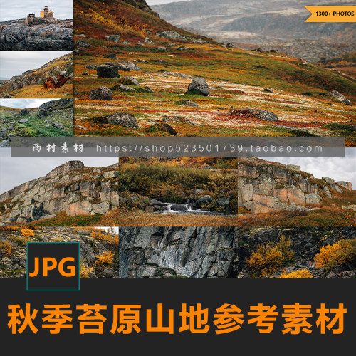 秋季苔原山地苔藓海岸CG绘画参考PS场景合成素材matte painting