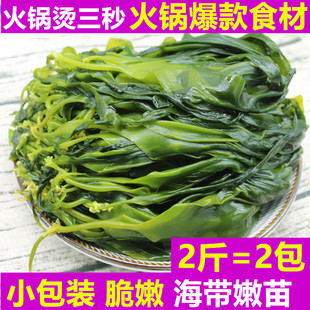 海带苗2斤嫩新鲜霞浦干货海带芽麻辣烫火锅食材配菜裙带菜