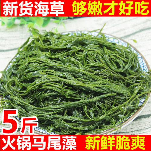 鞭炮笋海草5斤马尾藻新鲜