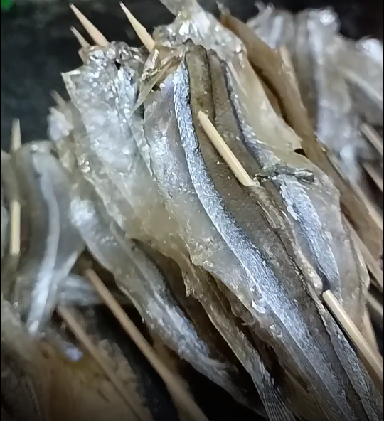 精选完整11-13米烧烤小马步鱼干棒鱼针鱼韩 式烤肉摆盘饭店串专用