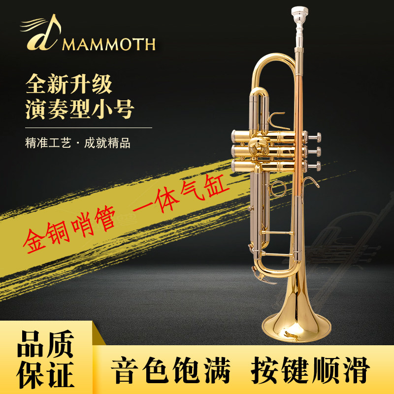 猛犸象降B调三音小号乐器初学演奏考级专业乐队鼓号队黄铜管乐器