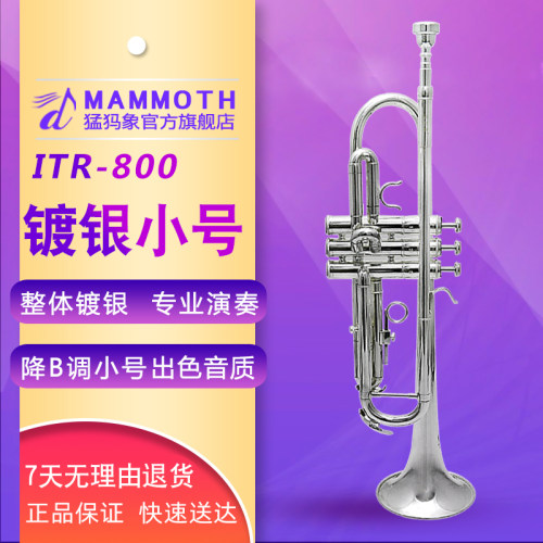 镀银小号铜管乐器猛犸象初学佳选