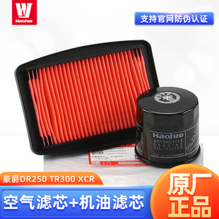 原装豪爵摩托车DR250 TR300 XCR机滤空滤机油格空气滤芯原厂配件