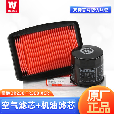 原装豪爵摩托车DR250 TR300 XCR机滤空滤机油格空气滤芯原厂配件