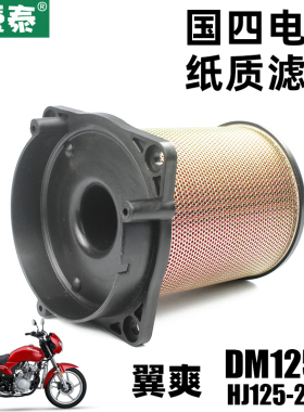 豪杰摩托车国四电喷翼爽DM125E HJ125-23A空气过滤芯滤清器空滤器