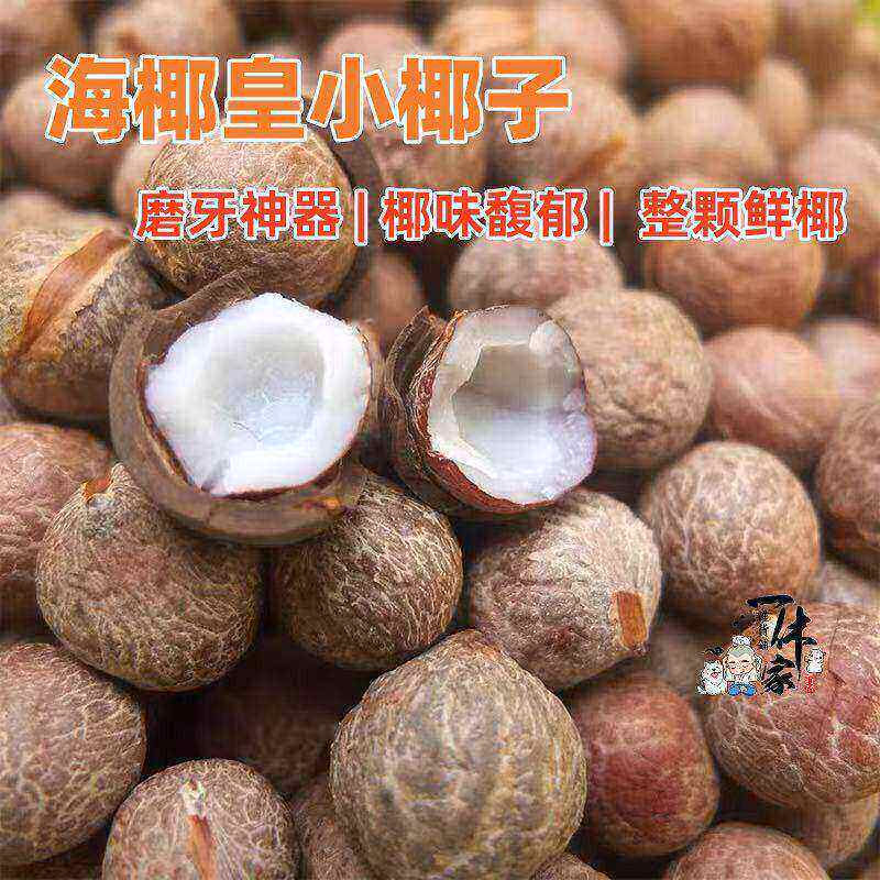海椰皇迷你新鲜小椰子仓鼠金丝熊沙鼠花枝磨牙零食玩具适口性好