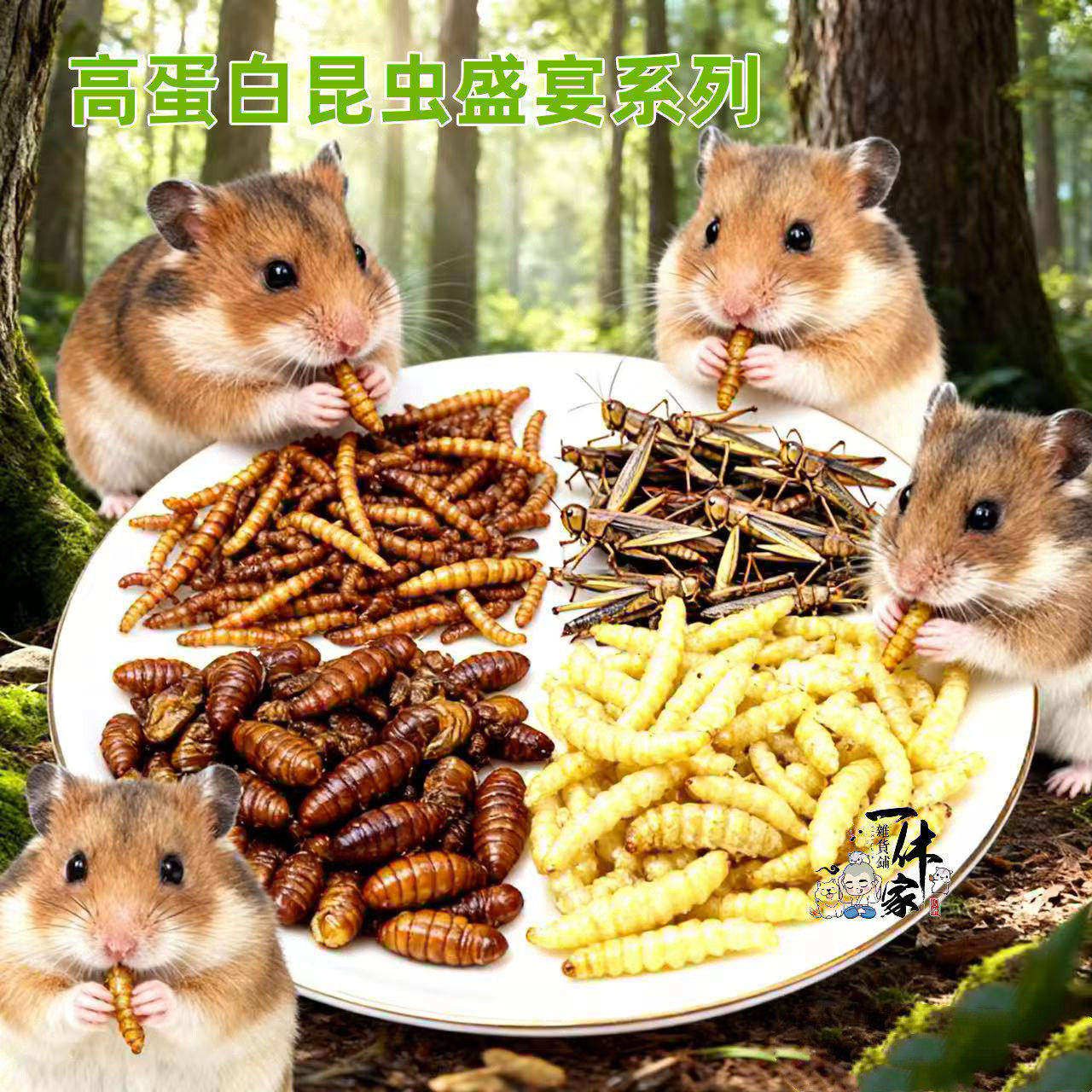 仓鼠零食金丝熊饲料通心粉沙鼠大麦虫面包虫鱼虾干高蛋白增肥亮毛