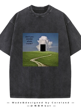 Coreland原创设计梦核怪核池核周边大码T恤创意图案春夏宽松短袖